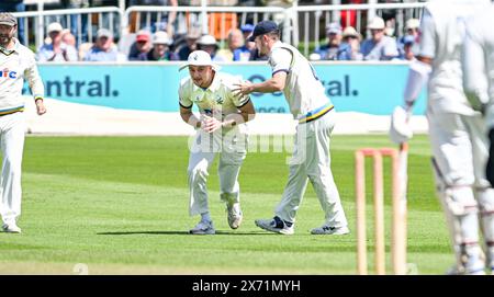 Hove UK 17. Mai 2024 - Finlay Bean aus Yorkshire wird gratuliert, nachdem er Tom Alsop aus Sussex für 8 Runs vor dem Bowling von George Hill während des ersten Tages des Cricketspiels der Vitality County Championship League 2 zwischen Sussex und Yorkshire im The entlassen hat 1st Central County Ground in Hove : Credit Simon Dack /TPI/ Alamy Live News Stockfoto