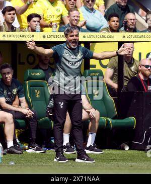 Aktenfoto vom 05/24 von David Wagner. Norwich hat Head Coach David Wagner nach der Niederlage im Halbfinale der Crushing Championship in Leeds entlassen. Ausgabedatum: Freitag, 17. Mai 2024. Stockfoto