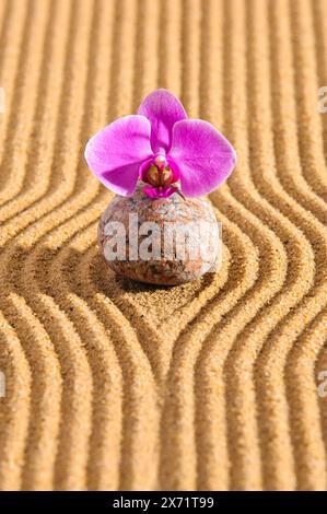 Zen Garten der Ruhe und Entspannung Steine in strukturiertem Sand als Symbol für psychisches Gleichgewicht und Ausgeglichenheit *** Zen Garten von Peac Stockfoto