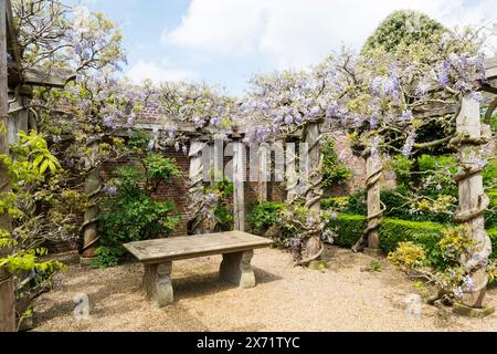 Wisteria klettert über eine Pergola im ummauerten Garten in Houghton Hall in Norfolk. Stockfoto