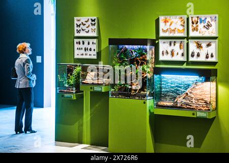 Brünn, Tschechische Republik. Mai 2024. Die Ausstellung A Thousand Faces of Amazonia zeigt die kulturelle und natürliche Vielfalt des Amazonas und gibt einen Einblick in das Leben der Ureinwohner dieser riesigen und vielfältigen Region im Anthropos Pavillon im Mährischen Museum in Brünn, Tschechoslowakei, 16. Mai 2024. Quelle: Patrik Uhlir/CTK Photo/Alamy Live News Stockfoto