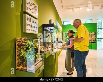 Brünn, Tschechische Republik. Mai 2024. Die Ausstellung A Thousand Faces of Amazonia zeigt die kulturelle und natürliche Vielfalt des Amazonas und gibt einen Einblick in das Leben der Ureinwohner dieser riesigen und vielfältigen Region im Anthropos Pavillon im Mährischen Museum in Brünn, Tschechoslowakei, 16. Mai 2024. Quelle: Patrik Uhlir/CTK Photo/Alamy Live News Stockfoto