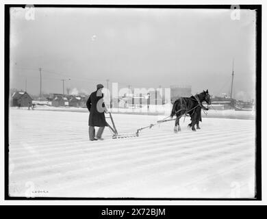 Eisernte, Pflügen, Titel vom Kataloger erfunden. Pferd hat Schlittschuhe auf. Detroit Publishing Co.-Nr. 030863., Geschenk; State Historical Society of Colorado; 1949, Eisindustrie. , Pflüge. Stockfoto