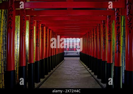 LYON, FRANKREICH, 15. Mai 2024: Ein Tori, Ein traditioneller Tempeleingang, wird für die Ausstellung Japan Passion im La Sucriere Museum rekonstituiert. Stockfoto