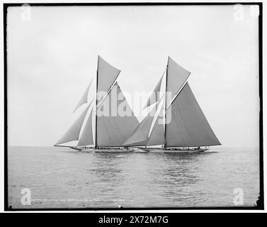 Reliance and Shamrock III Before the Start, 25. August 1903, '1519' on negative., Detroit Publishing Co. No 021779., Geschenk; State Historical Society of Colorado; 1949, Shamrock III (Yacht), Reliance (Yacht), Yachts. , Regattas. , America's Cup Rennen. Stockfoto