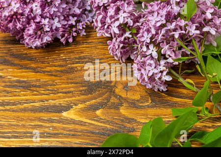 Schöne Frühlingsblumen lila auf einem Holz-Vintage-Brett mit Platz für Text. Syringa vulgaris. Glückwunschkarte für Den Muttertag. Draufsicht. Spac kopieren Stockfoto