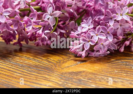 Schöne Frühlingsblumen lila auf einem Holz-Vintage-Brett mit Platz für Text. Syringa vulgaris. Glückwunschkarte für Den Muttertag. Draufsicht. Spac kopieren Stockfoto