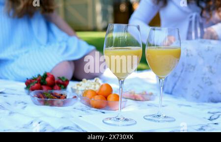 Beim Picknick Saft in ein Glas gießen zwei Mädchen sitzen auf einer Matte mit Mandarinen und Orangensaft und verbringen entspannend Zeit miteinander. Junggesellinnenabschied Stockfoto