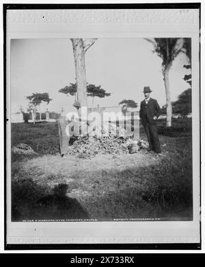 A Workman in the Cemetery Necropolis Cristobal Colon, Havanna, 'X 94' auf negativ, Detroit Publishing Co. No 021569., Geschenk; State Historical Society of Colorado; 1949, Workers. , Knochen. , Friedhöfe. Kuba, Havanna. Stockfoto