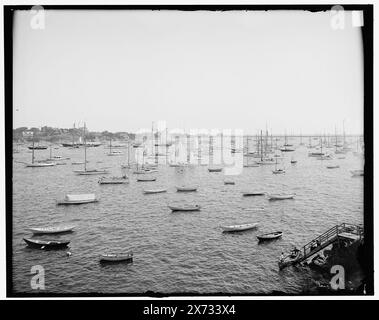 Hafen von Crocker Park, Marblehead, Mass., Titel von Jackett, '2841' auf negativ. Detroit Publishing Co.-Nr. 034131., Geschenk; State Historical Society of Colorado; 1949, Yachts. , Hafen. , Boote. , Usa, Massachusetts, Marblehead. Stockfoto