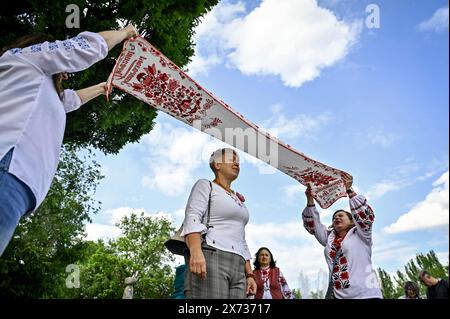 Nicht exklusiv: ZAPORIZHZHIA, UKRAINE - 16. MAI 2024 - Eine Teilnehmerin des World Vyshyvanka Day Celebration steht unter dem „Women&#x92;s Happiness“ Stockfoto