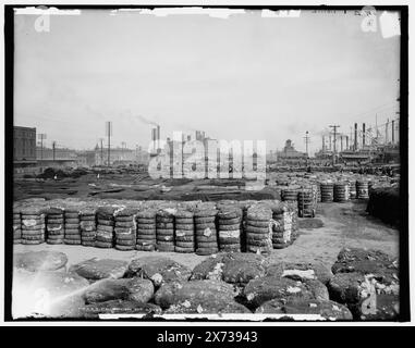 Cotton on the Deich, New Orleans, La, 669 G auf negativ, Detroit Publishing Co.-Nr. 016343., Geschenk; State Historical Society of Colorado; 1949, Cotton. , Deiche. , Usa, Louisiana, New Orleans. Stockfoto