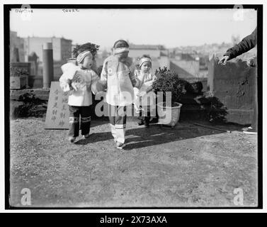 Chinesische Motive, Titel aus Jacke., 'WHJ 410' auf negativ. Detroit Publishing Co.-Nr. 32667., Geschenk; State Historical Society of Colorado; 1949, Chinese Americans. , Kinder. Stockfoto