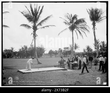 No. 1-T-Stück, Golf Links, Palm Beach, Florida, '110' auf negativ., Detroit Publishing Co.-Nr. 017626., Teil des Breakers Hotel., Geschenk; State Historical Society of Colorado; 1949, Golf. , Resorts. , Usa, Florida, Palm Beach. Stockfoto