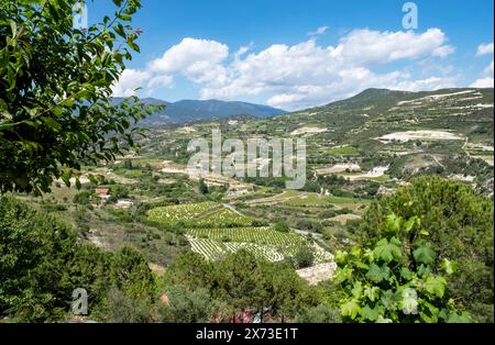 Blick auf die Weinberge rund um das Dorf Omodos mit den Troodos Bergen in der Ferne, Limassol Bezirk, Zypern. Stockfoto