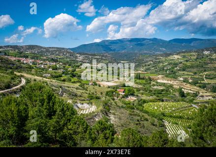 Blick auf die Weinberge rund um das Dorf Omodos mit den Troodos Bergen in der Ferne, Limassol Bezirk, Zypern. Stockfoto