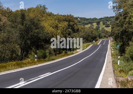 Einsame Straße durch den Wald, in der Nähe von Cala - Sierra de Los Gabrieles -, Huelva, Andalusien, Spanien Stockfoto