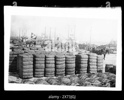 Cotton on the Deich, Attribution to Jackson based on Catalogue of the W.H. Jackson Views (1898)., '7419' on negative., Detroit Publishing Co. No. 8119., Geschenk; State Historical Society of Colorado; 1949, Deiche. , Baumwolle. , Usa, Louisiana, New Orleans. Stockfoto