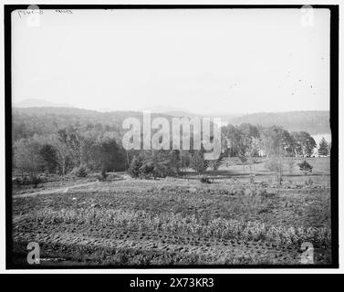 Lower Saranac Lake, The Algonquin, Adirondack Mtns., N.Y., Titel aus Jacke. Videobilder sind nicht sequenziell; die tatsächliche Reihenfolge von links nach rechts ist 1A-19042, 19041, 19040., „G 1481 dup“ auf dem linken negativ; „G 1484“ auf dem mittleren negativ; „G 1482“ auf dem rechten negativ., Detroit Publishing Co.-Nr. 037062., Geschenk; State Historical Society of Colorado; 1949, Hotels. , Resorts. , Usa, New York (Bundesstaat), Adirondack Mountains. , Usa, New York (Bundesstaat), Saranac Lakes. Stockfoto