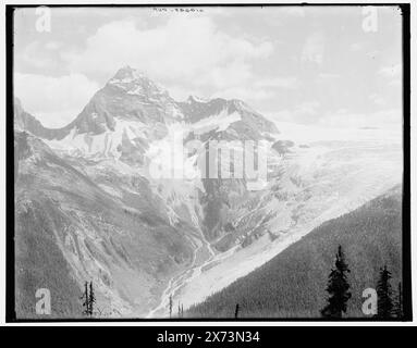 Sir Donald und Illecillewaet Gletscher vom Mt. Abbott, Selkirk Mountains, B.C., Titel aus Detroit, Catalogue J Supplement (1901-1906)., entsprechende Glastransparenz (mit demselben Seriencode) auf Videobild 1A-29789., 'Peabody 1065 B' und 'dup' auf negativ., Detroit Publishing Co.-Nr. 014649., Geschenk; State Historical Society of Colorado; 1949, Mountains. , Gletscher. , Kanada, Selkirk Range. , Kanada, British Columbia. Stockfoto