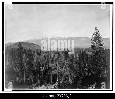 Mt. Shasta, Cal., "Detroit Photographic Co.", gelistet in Detroit, Katalog F (1899). Copyright-Ablagenummer 61196., Detroit Publishing Co.-Nr. 01325., Urheberrechtshinterlegung. State Historical Society of Colorado, 1949, Mountains. , Usa, Kalifornien, Shasta, Mount. Stockfoto