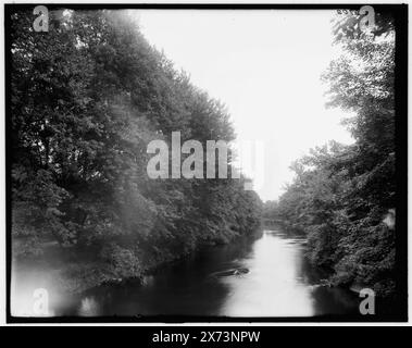 Red Cedar River, Michigan Agricultural College (Michigan State University), East Lansing, mir., Titel aus Jacke., 'H 62' auf negativ., Detroit Publishing Co.-Nr. 036703., Geschenk; State Historical Society of Colorado; 1949, Rivers. , Usa, Michigan, East Lansing. Usa, Michigan, Red Cedar River. Stockfoto