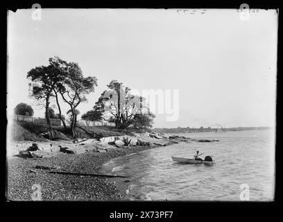 Mann im Boot mit Fischfalle am Strand, Titel vom Kataloger erfunden, möglicherweise Adirondack Mountains, New York., 'G 277' auf negativ. Detroit Publishing Co.-Nr. 068255., Geschenk; State Historical Society of Colorado; 1949, Beaches. , Boote. Stockfoto