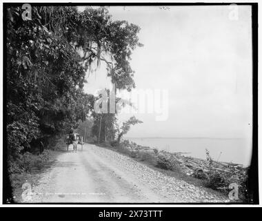 Bay Shell Road and Mobile Bay, Mobile, Ala., Date Based on Detroit, Catalogue J Supplement (1901-1906)., '434' on negative., Detroit Publishing Co.-Nr. 013516., Geschenk; State Historical Society of Colorado; 1949, Streets. , Einschübe. , Wagen & Wagen. , Usa, Alabama, Mobile. Stockfoto