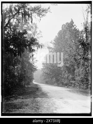 Bay Shell Road, Mobile, Ala., Date Based on Detroit, Catalogue J Supplement (1901-1906)., '432' on negative., Detroit Publishing Co.-Nr. 013518., Geschenk; State Historical Society of Colorado; 1949, Streets. , Usa, Alabama, Mobile. Stockfoto