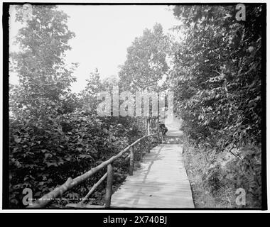 The Walk to the inn, Roaring Brook, mich., entsprechende Glastransparenz (mit demselben Serien-Code) verfügbar auf Videobildschirm 1A-30491., 'G 3232' auf negativ., Detroit Publishing Co.-Nr. 019018., Gift; State Historical Society of Colorado; 1949, Trails & Pfade. , Usa, Michigan, Roaring Brook. Stockfoto