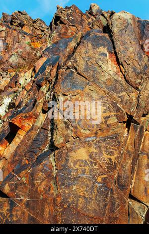 Petroglyphen auf den Felsen in der Karasay-Schlucht, Taraz, Jambyl-Region, Kasachstan. Bronze- und Eisenzeit-Felskunst Stockfoto