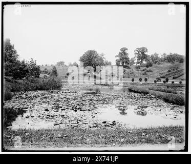 Lily Ponds, Forest Park, Springfield, Mass., entsprechende Glastransparenz (mit demselben Serien-Code) verfügbar auf Videodisc Frame 1A-30620., '2194' auf negative., Detroit Publishing Co. Nrn. 019920, 033660., Gift; State Historical Society of Colorado; 1949, Lily Ponds. , Parks. , Usa, Massachusetts, Springfield. Stockfoto