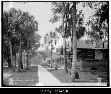 Bungalows an der South St. Street, Daytona, Florida, 'G 6949' auf negativ. Detroit Publishing Co.-Nr. 071757., Geschenk; State Historical Society of Colorado; 1949, Bungalows. , Usa, Florida, Daytona Beach. Stockfoto