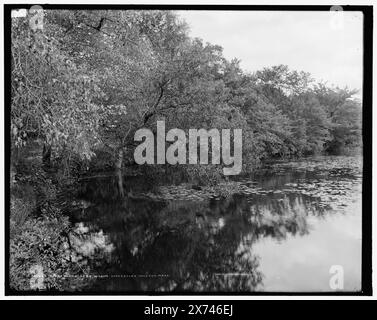 Bäume entlang Lake Waban, Wellesley College, Mass., '42' auf negative. Detroit Publishing Co.-Nr. 070867., Geschenk; State Historical Society of Colorado; 1949, Universities & Colleges. , Seen und Teiche. , Usa, Massachusetts, Wellesley. Usa, Massachusetts, Waban Lake. Stockfoto