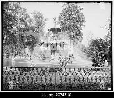 Fountain in Forsyth Park, Savannah, Ga, entsprechende Glastransparenz (mit demselben Seriencode) auf Videobildschirm 1A-30140., '79' auf negativ., Detroit Publishing Co.-Nr. 017694., Geschenk; State Historical Society of Colorado; 1949, Parks. , Springbrunnen. , Usa, Georgia, Savannah. Stockfoto