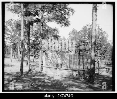 The Bear Pits, Forest Park, Little Rock, Arche, Titel von Jackett. g 6778 auf negativ., Detroit Publishing Co.-Nr. 039506., Geschenk; State Historical Society of Colorado; 1949, Parks. , Zoos. Usa, Arkansas, Little Rock. Stockfoto