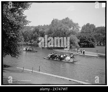 Swan Boats, Public Gardens, Boston, Mass., '3279' auf negativ. Detroit Publishing Co.-Nr. 019634., Geschenk; State Historical Society of Colorado; 1949, Boats. , Parks. , Usa, Massachusetts, Boston. Stockfoto