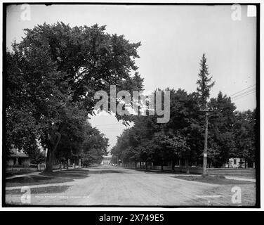 Main Street, North Conway, N.H., '4313' auf negativ, Detroit Publishing Co.-Nr. 070497., Geschenk; State Historical Society of Colorado; 1949, Streets. , Usa, New Hampshire, North Conway. Stockfoto