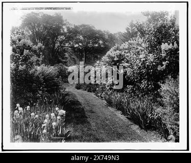 Garden Walk, Sargent Estate, Brookline, Mass., entsprechende Glastransparenz (mit demselben Seriencode) verfügbar auf Videobildschirm 1A-31022., '14637' und 'T.E. Morri' auf Transparency., Detroit Publishing Co.-Nr. 073263., Geschenk; State Historical Society of Colorado; 1949, Estates. , Trails & Pfade. , Gärten. , Usa, Massachusetts, Brookline. Stockfoto