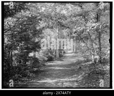 Pfad entlang Lake Waban, Wellesley College, Mass., negativ durchbrochen und aufgeklebt., '38' auf negativ. Detroit Publishing Co.-Nr. 070873., Geschenk; State Historical Society of Colorado; 1949, Universities & Colleges. , Trails & Pfade. , Usa, Massachusetts, Wellesley. Stockfoto