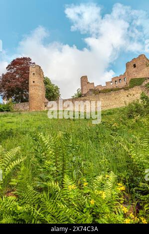 Ruine der Burg Frauenstein im östlichen Erzgebirgsgebiet Sachsen Stockfoto