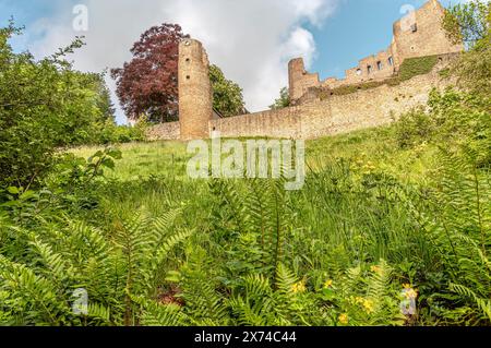 Ruine der Burg Frauenstein im östlichen Erzgebirgsgebiet Sachsen Stockfoto