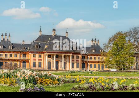 Frühlingsblumen vor dem Wasserschloss im Schlosspark Pillnitz, Dresden, Sachsen, Deutschland Stockfoto