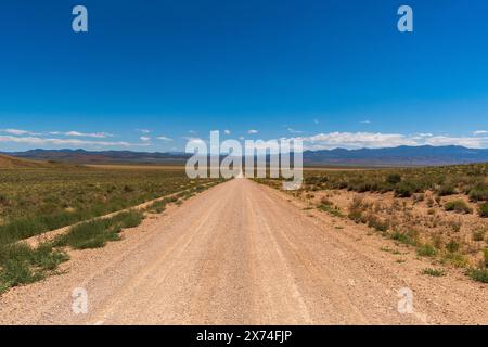 Dirt Road durch die Nevada Open Space Mountains im Sommer, USA Stockfoto
