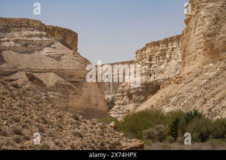 Die Klippen des Canyon ein Avdat in der Wüste Negev im Süden Israels. Stockfoto
