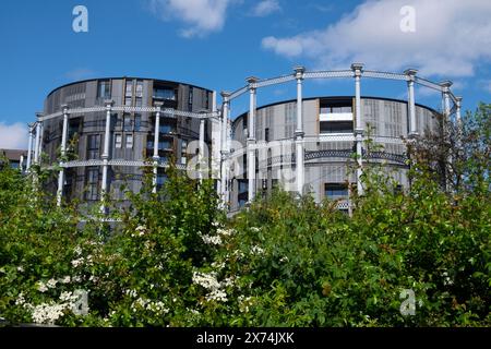 Blick vom Camley Street Natural Park of Gasholder Apartments Luxuswohnungen, in denen im April 2024 Kings Cross London England UK KATHY DEWITT untergebracht ist Stockfoto