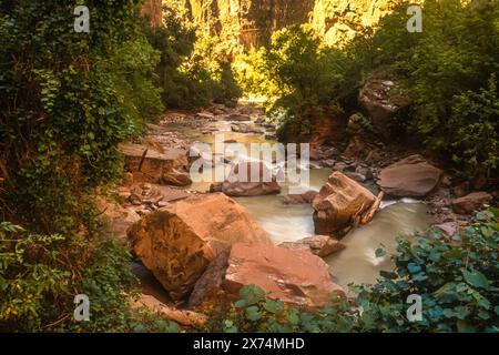 Malerische Aussicht auf Felsbrocken im Virgin River entlang des Zion Narrows Riverside Walk im Zion Canyon im Zion National Park im Süden Utahs. (USA) Stockfoto