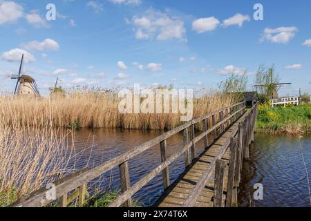 Ein schmaler Holzsteg führt über einen Fluss durch hohes Schilf, unter einem klaren blauen Himmel mit verstreuten Wolken, Windmühlen an einem Fluss, blauer Himmel mit Stockfoto