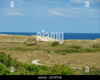 Sanddünen und grasbewachsene Hügel mit Blick auf die Küste unter blauem Himmel mit verstreuten Wolken, Dünen- und Wanderwegen auf dem Wattenmeer, Wolken hinein Stockfoto