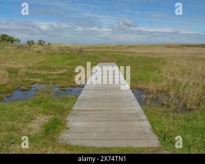 Ein schmaler Holzsteg führt durch eine weite Wiesenlandschaft unter einem leicht bewölkten Himmel, Dünen und Strände am Meer mit Wanderwegen, Gras und Stockfoto